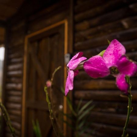 Finca Las Huellas: Cabana Acogedora En La Montana Villa Estrella Buitenkant foto
